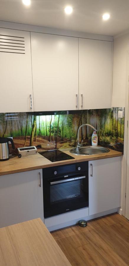 Apartament Przy Starym Miescie Elblag Kültér fotó